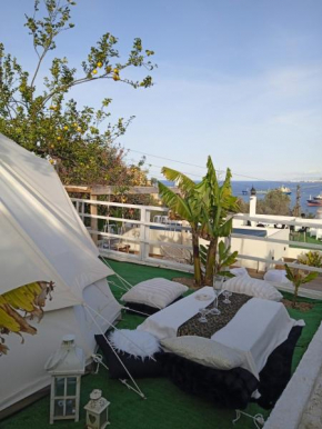 Queens Luxury Glamping